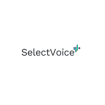 SelectVoice.png